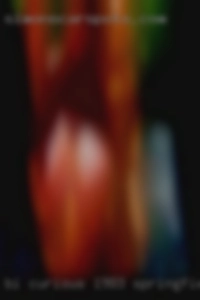 Bi_curious_1983 Springfield Illinois