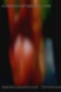 Daedalusunbound Tennessee