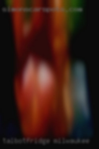 talbotfridge Milwaukee